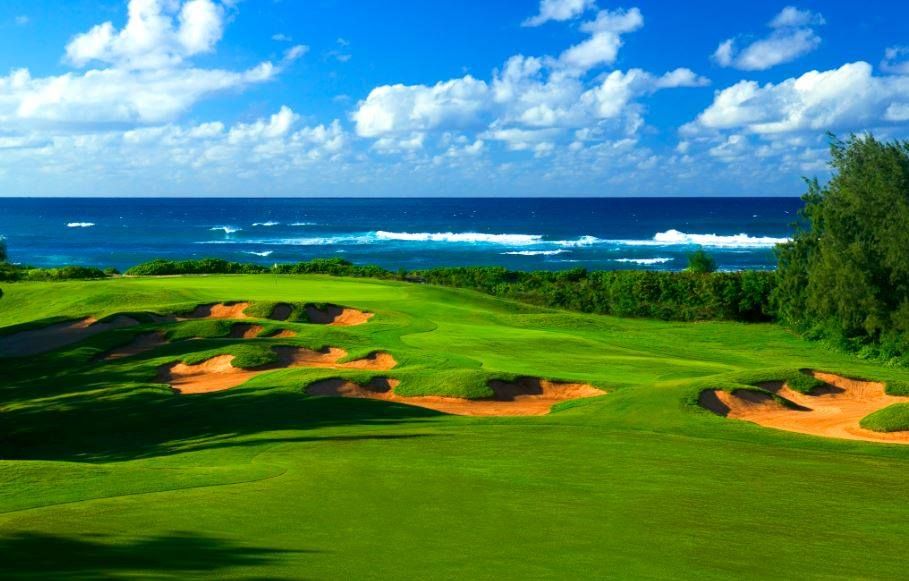 ⛳ Real Time reservations of Golf Green Fees for Turtle Bay Fazio Golf