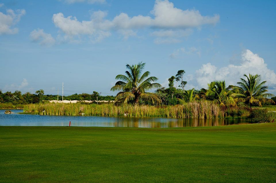 ⛳ Real Time reservations of Golf Green Fees for Punta Blanca Golf Tee