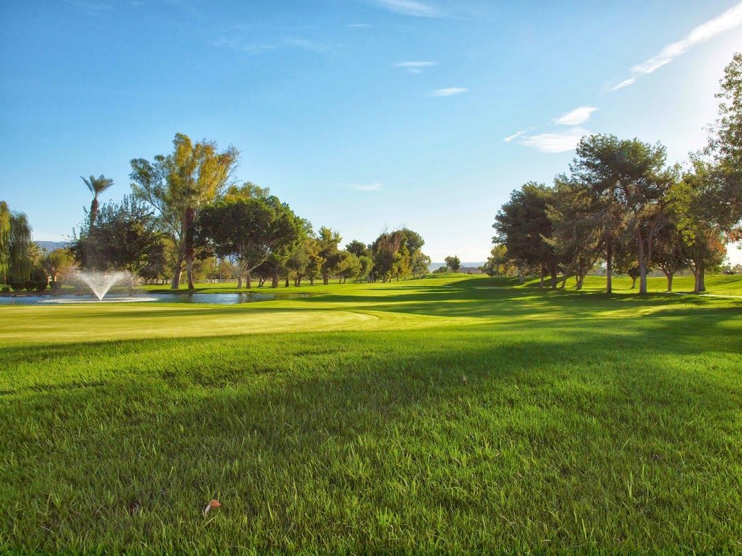 Real Time reservations of Golf Green Fees for Indian Palms ...