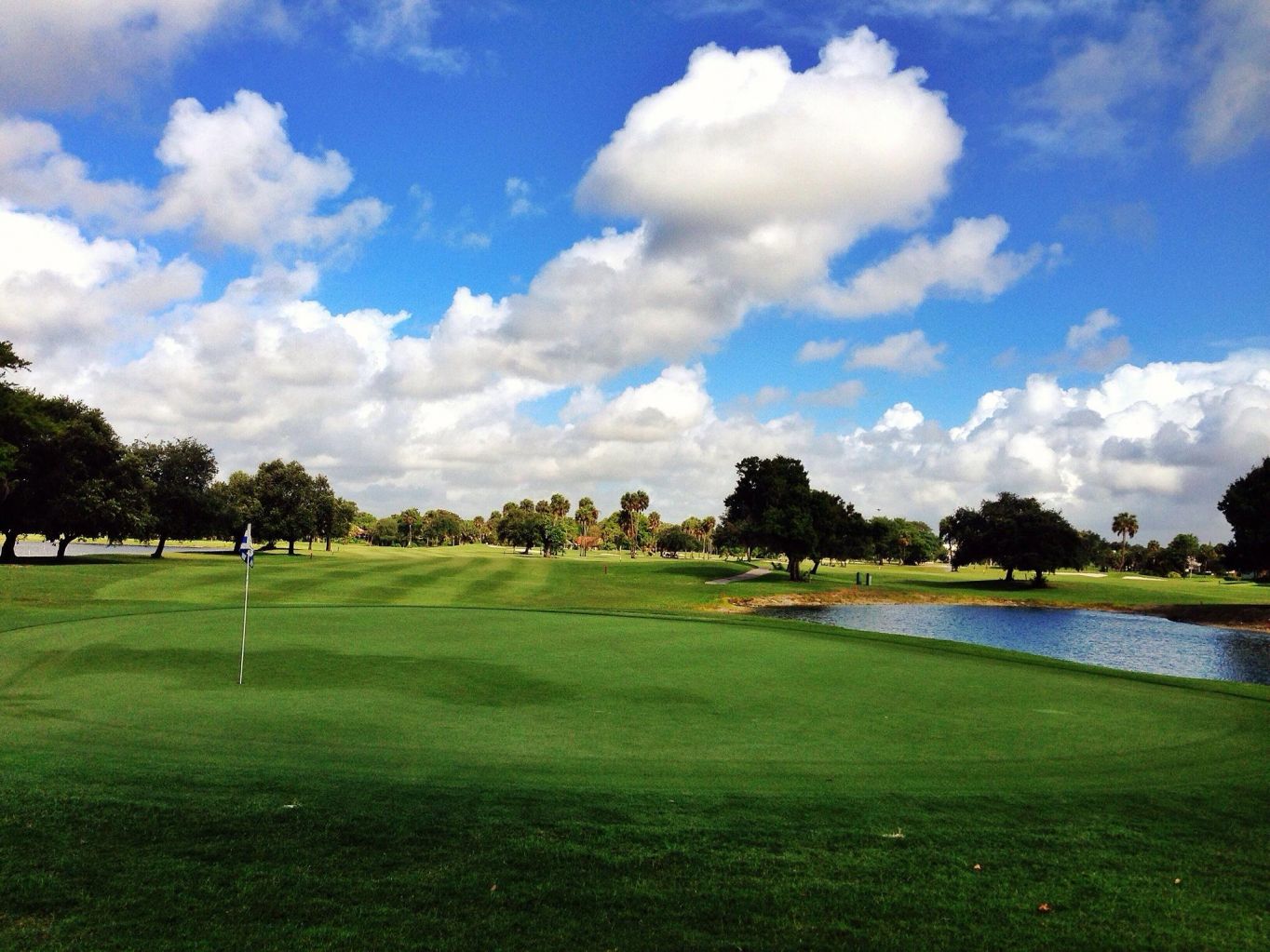 ⛳ Real Time reservations of Golf Green Fees for Palm Aire Country Club