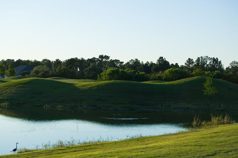 real-time-reservations-of-golf-green-fees-for-tampa-bay-golf-country-club-tee-times-for-you