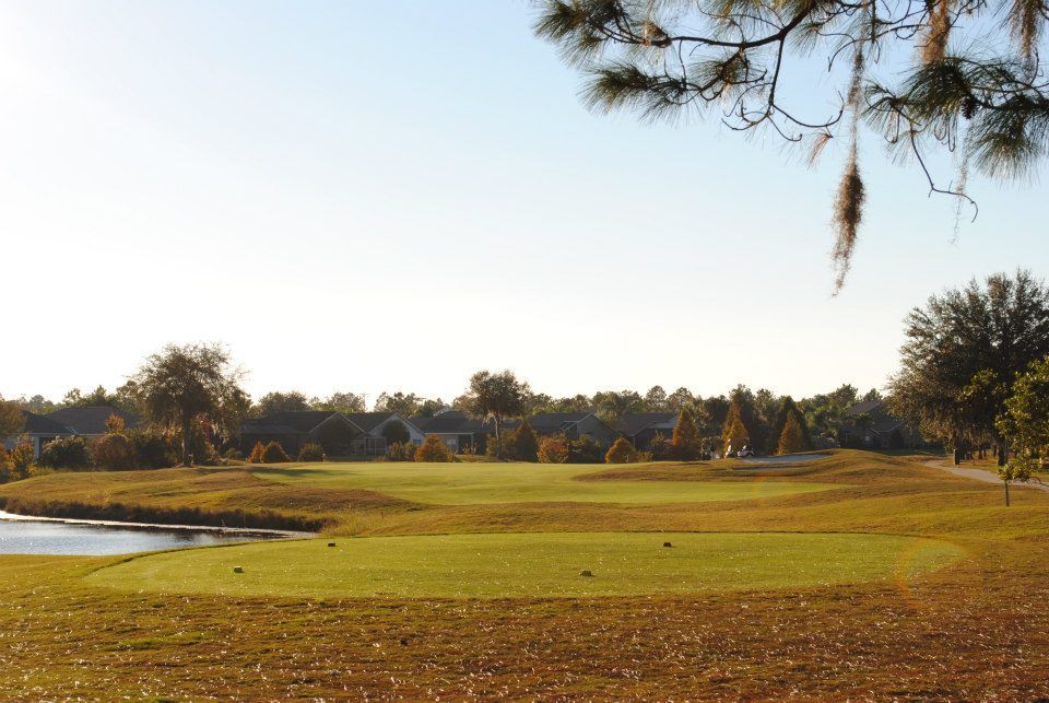 real-time-reservations-of-golf-green-fees-for-plantation-palms-golf