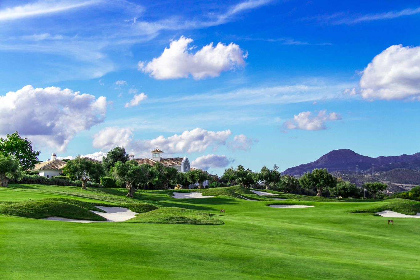 ⛳ Real Time reservations of Golf Green Fees for Mesa Del Sol Golf Club