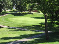 golf course crooked tree