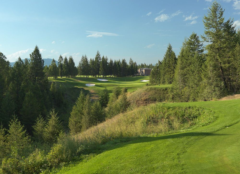 Springs coursework image