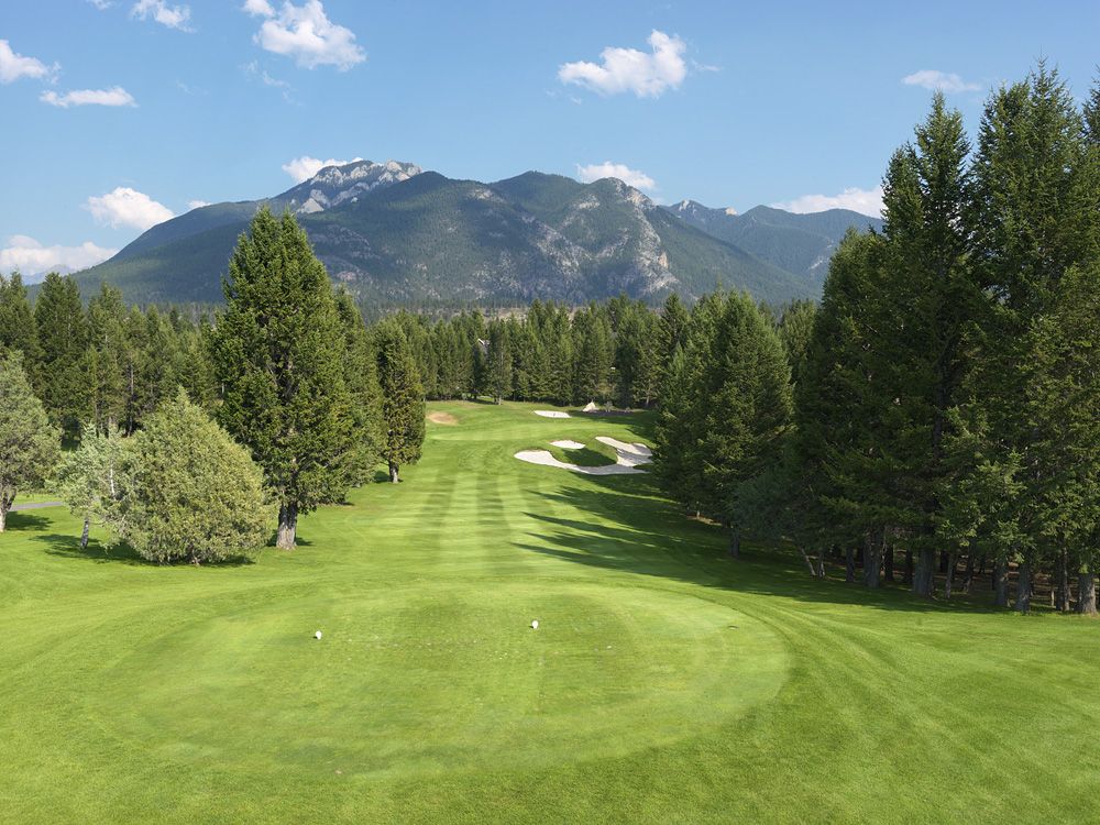 Spring coursework picture