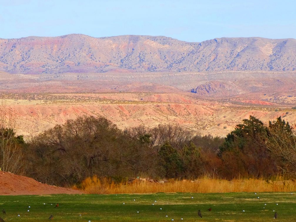 ⛳ Real Time reservations of Golf Green Fees for New Mexico Tech Golf