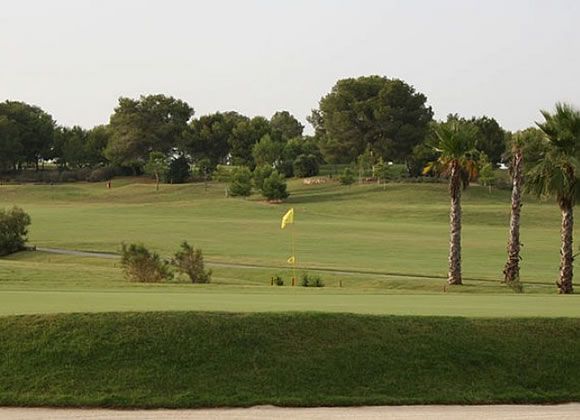 neumann golf course locations