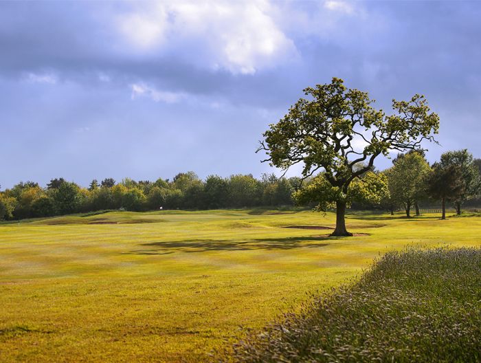 ⛳ Real Time reservations of Golf Green Fees for Macdonald ...