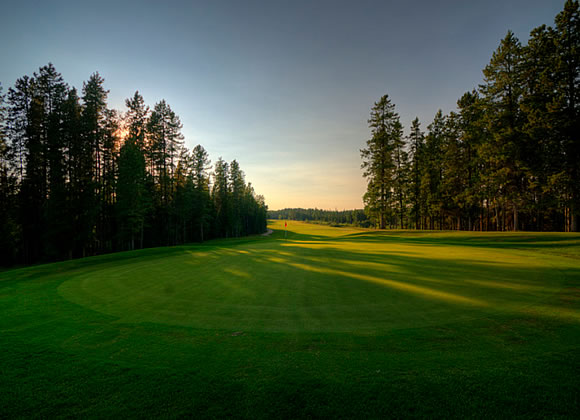 pine hills golf