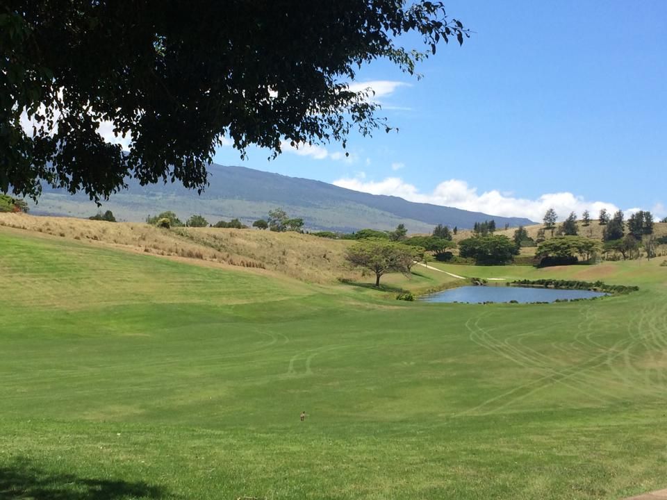 ⛳ Real Time reservations of Golf Green Fees for Big Island Country Club