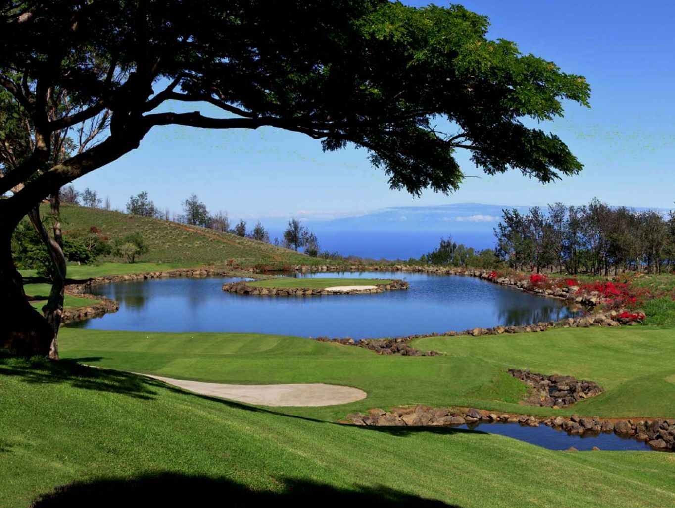 ⛳ Real Time reservations of Golf Green Fees for Big Island Country Club