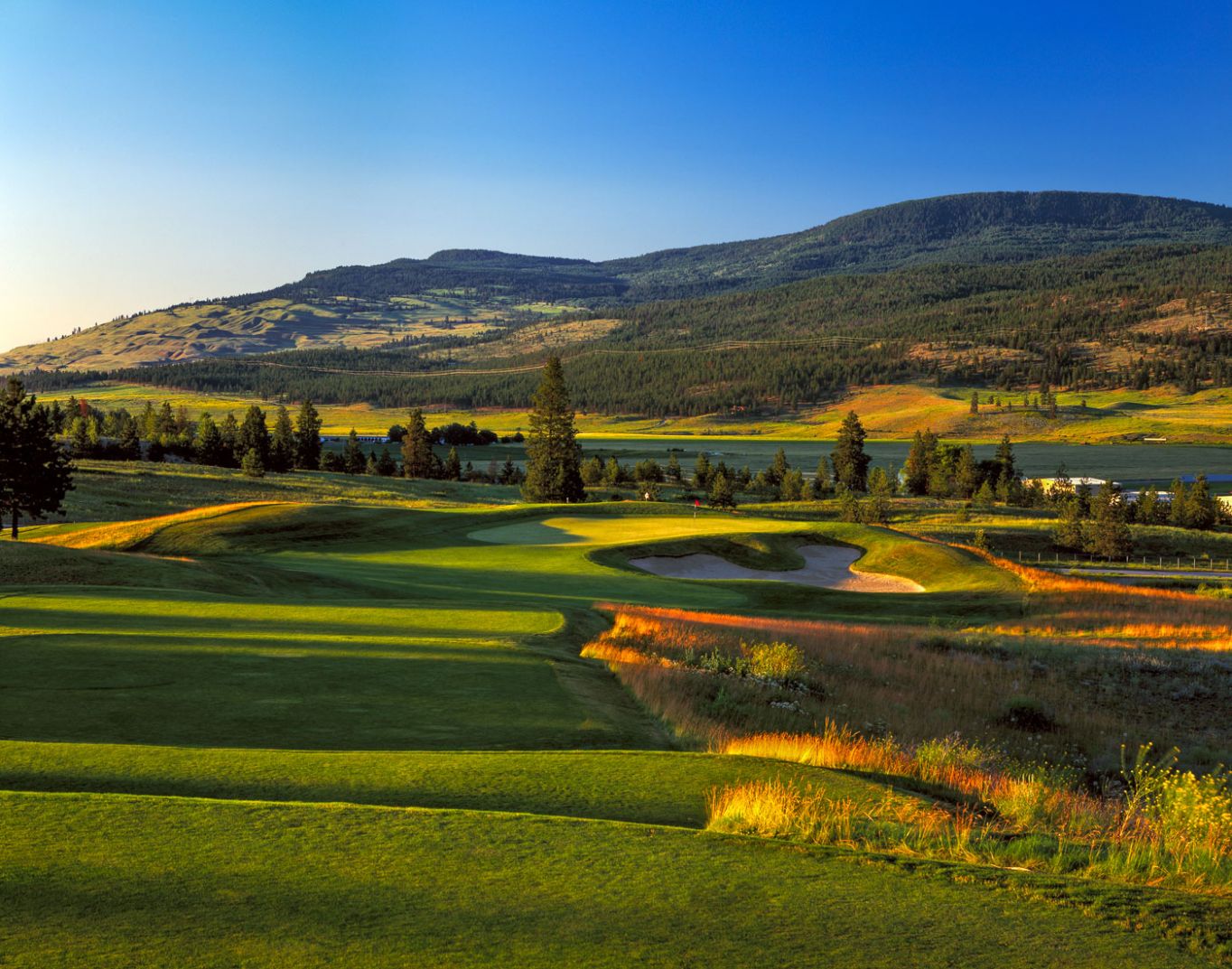 ⛳ Real Time reservations of Golf Green Fees for Okanagan Golf Club/The