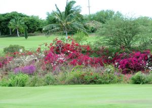 Coral Creek Golf