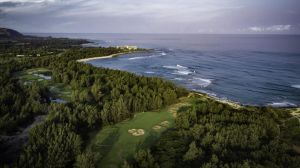 Turtle Bay Palmer Golf