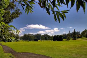Waimea Golf