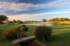 Meadow Springs Golf - Green Fee - Tee Times