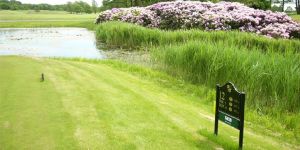 Bokskogen Old Golf Course - Green Fee - Tee Times