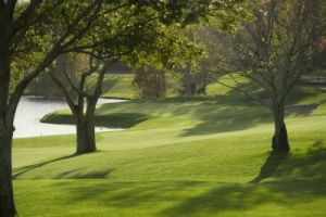 MetroWest Golf Club - Green Fee - Tee Times