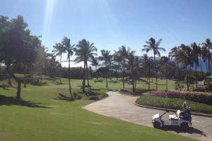 Wailea Golf Club -  Old Blue Course