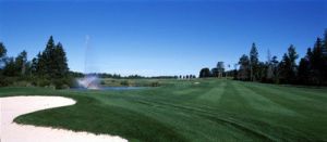 Avondale Golf Course - Green Fee - Tee Times