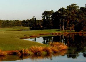 Pine Course at The Grand Club - Green Fee - Tee Times