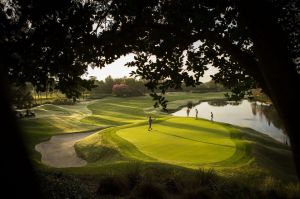 Grand Cypress: South-East 18 - Green Fee - Tee Times