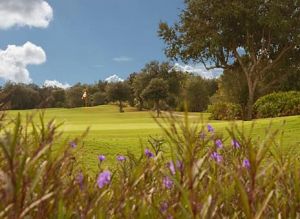 Stonegate Golf Club at Solivita - The Oaks - Green Fee - Tee Times