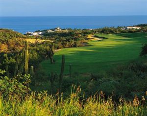 Palmilla Golf Club - Arroyo/Mountain - Green Fee - Tee Times