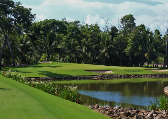 Iberostar Playa Paraiso - Green Fee - Tee Times