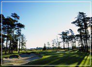 Dukes Golf Club - Green Fee - Tee Times