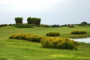 Royal St. Cloud Golf Links - Blue/Red - Green Fee - Tee Times