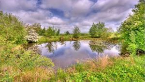 Bentham Golf Club - Green Fee - Tee Times