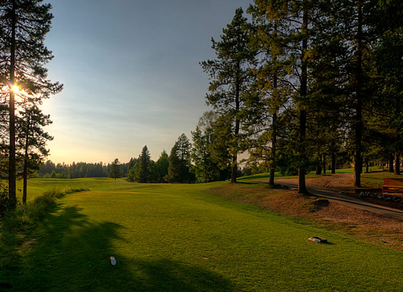 Pine Hills Golf Club - Green Fee - Tee Times