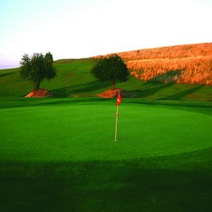 Golf de Saint-Quentin en Yvelines - Rouge - 18T - Green Fee - Tee Times
