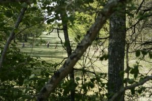 Golf de Sologne - Sologne - 18T - Green Fee - Tee Times