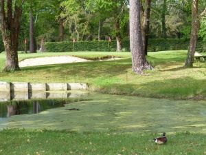 Golf de Quetigny Grand Dijon - Quétigny - 18T - Green Fee - Tee Times