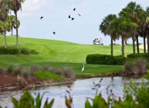 Heron Creek Golf - Marsh - Green Fee - Tee Times