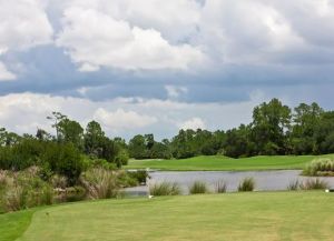 Heron Creek Golf - Creek - Green Fee - Tee Times
