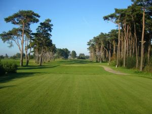 Bedinge Golfklubb - Green Fee - Tee Times