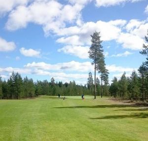 Norsjö Golfklubb - Norsjö 2*9 hål - Green Fee - Tee Times