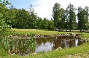 Saxnäs Golfklubb - Saxnäs Golfbana - Green Fee - Tee Times