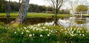 Sundbyvik Golfklubb - Sundbyvik Golf - Green Fee - Tee Times