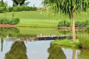 La Colombera Golf Club - Green Fee - Tee Times